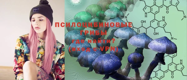 бошки Абинск