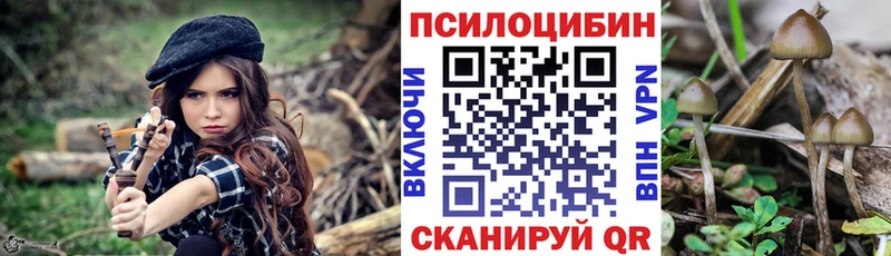 закладка  MEGA ССЫЛКА  Галлюциногенные грибы Cubensis  Кораблино 