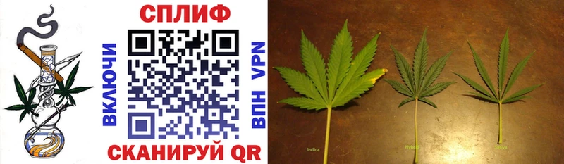 Конопля Ganja  Кораблино 
